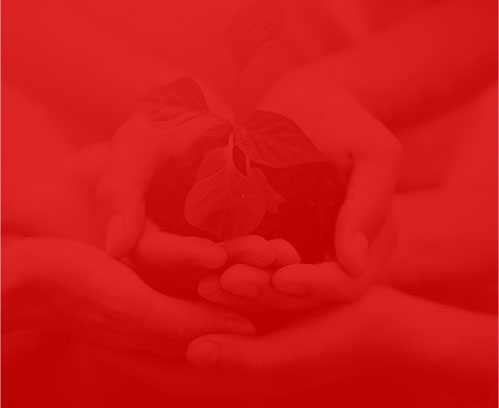 上海網(wǎng)絡公司千選科技